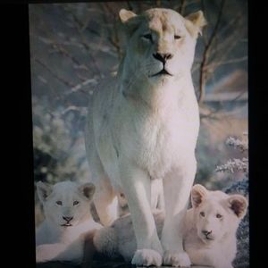 Meet your Posher, Sharon